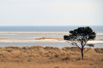 Kernzone Naturschutzgebiet Darßer Ort
