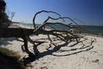 Am Weststrand