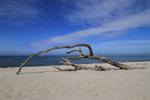 Am Weststrand