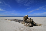 Strandgut am Weststrand